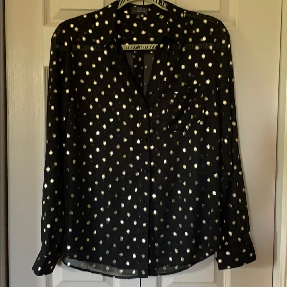The Limited Sheer Button Down Blouse